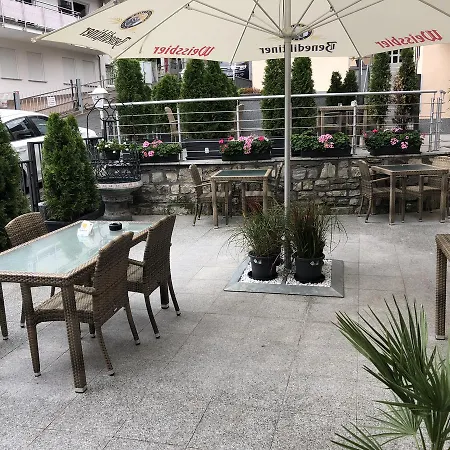 Louis Otel Schmitten